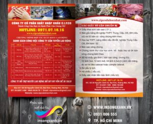 tờ rơi du học nhật bản 02