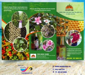 to roi du lich dao phu quoc 02