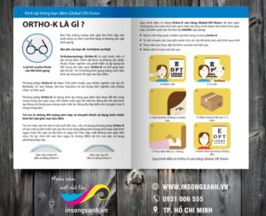 to roi mat kinh crtho 01