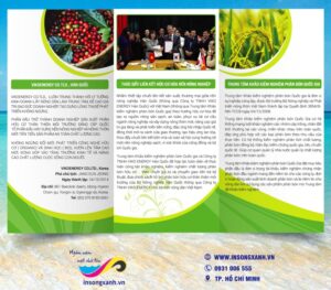 to roi rau qua sach 01