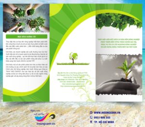 to roi rau qua sach 02