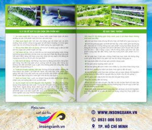 to roi rau qua sach 1 01 02