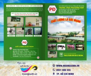 to roi trang trai chan nuoi 01