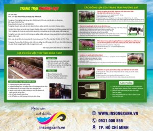 to roi trang trai chan nuoi 02