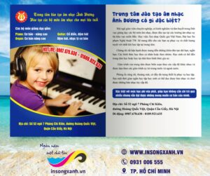 to roi trung tam am nhac 01