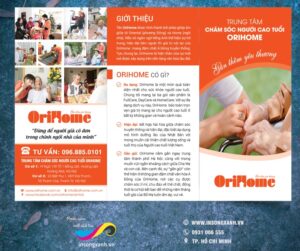 to roi vien duong lao 02