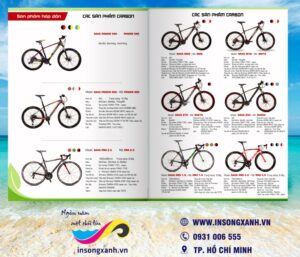 to roi xe dap dia hinh dep 02