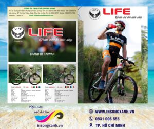 to roi xe dap the thao life 01