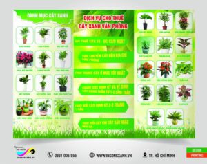 tờ rơi cây xanh 02