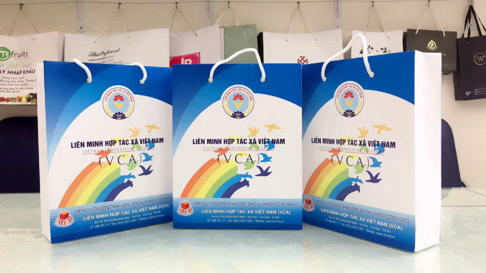In túi đựng quà tặng doanh nghiệp