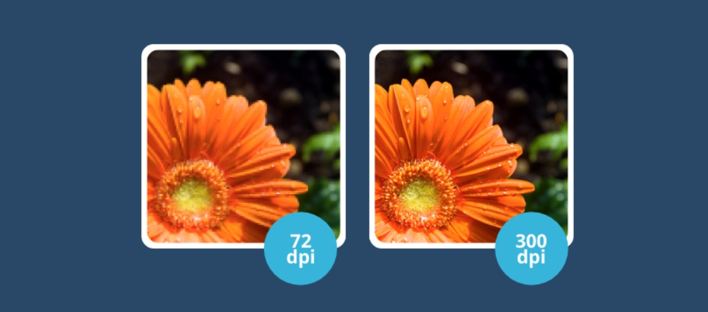 File In Chuẩn Cần Những Yêu Cầu Gì? Hướng Dẫn Chuẩn Bị File Trước Khi In