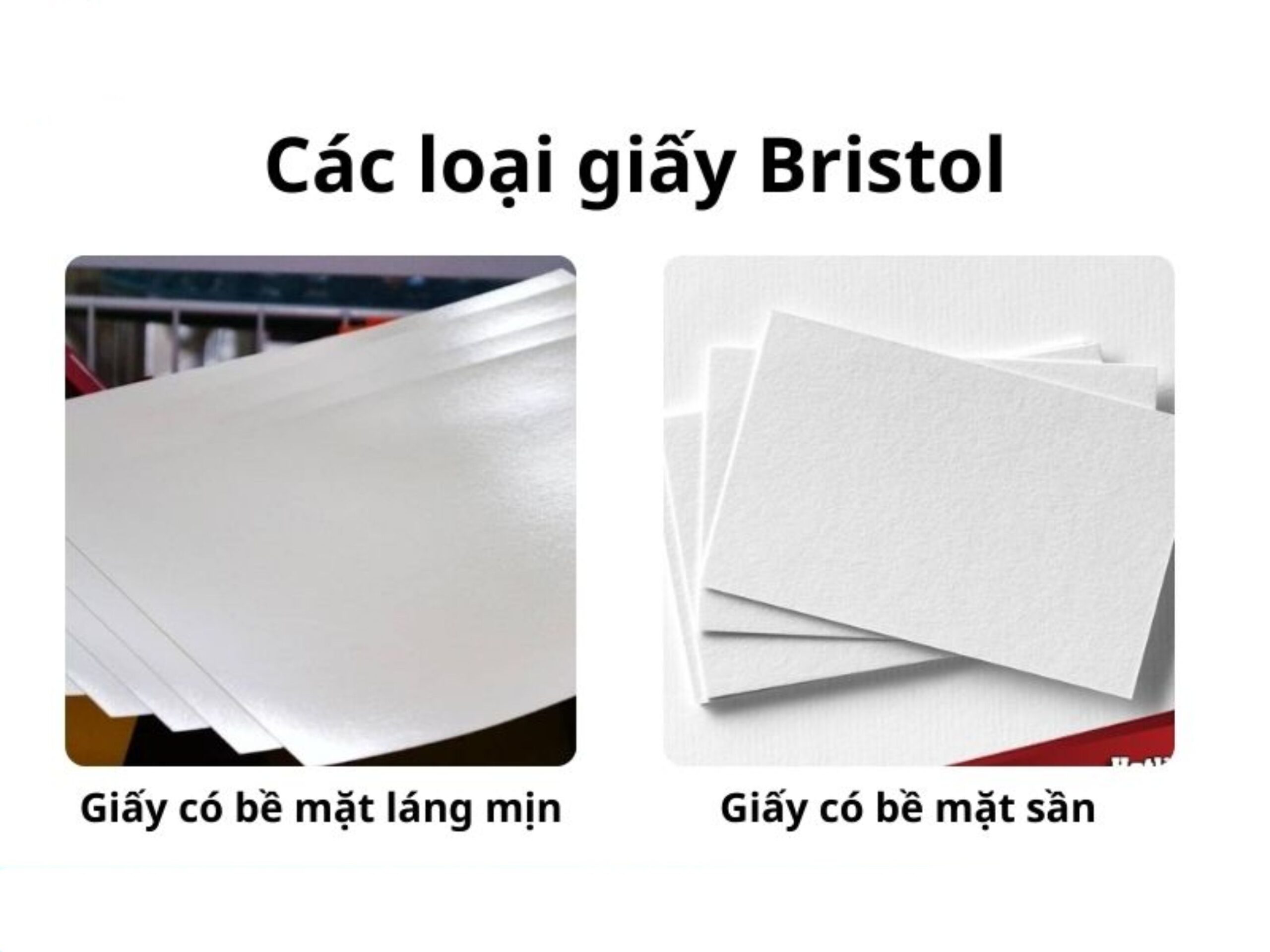 cach-chon-giay-in-catalogue-chuan-nhat