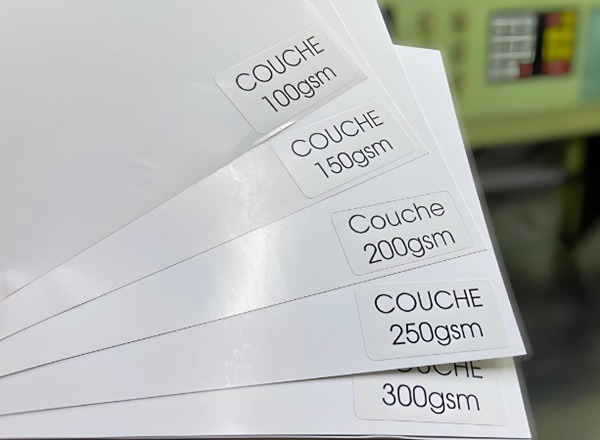 cach-chon-giay-in-catalogue-chuan-nhat