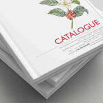 in-Catalogue-Bia-Cung-so-luong-it