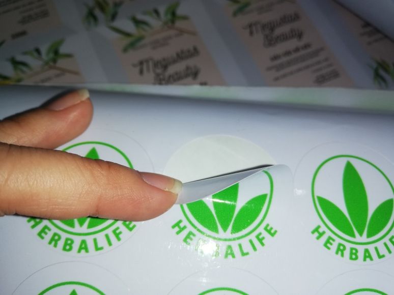 cach-kiem-tra-do-dinh-cua-decal